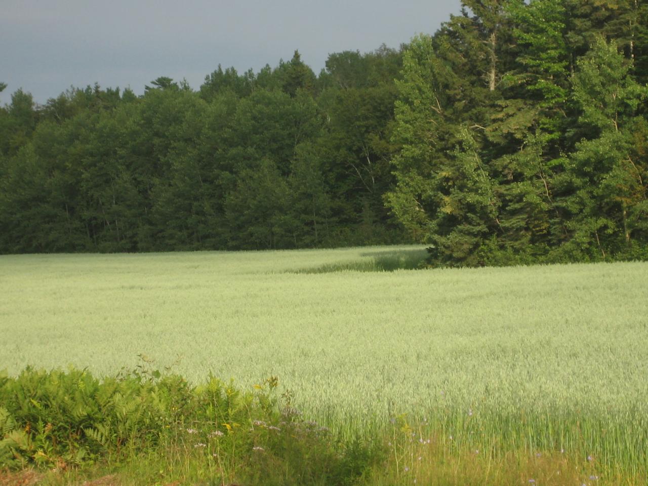 De Québec à Tadousac