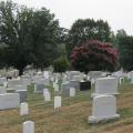 2 ARLINGTON (3)