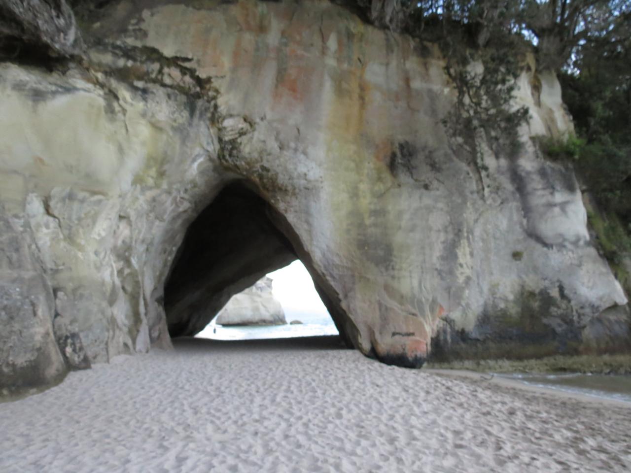 Cathedral cove 