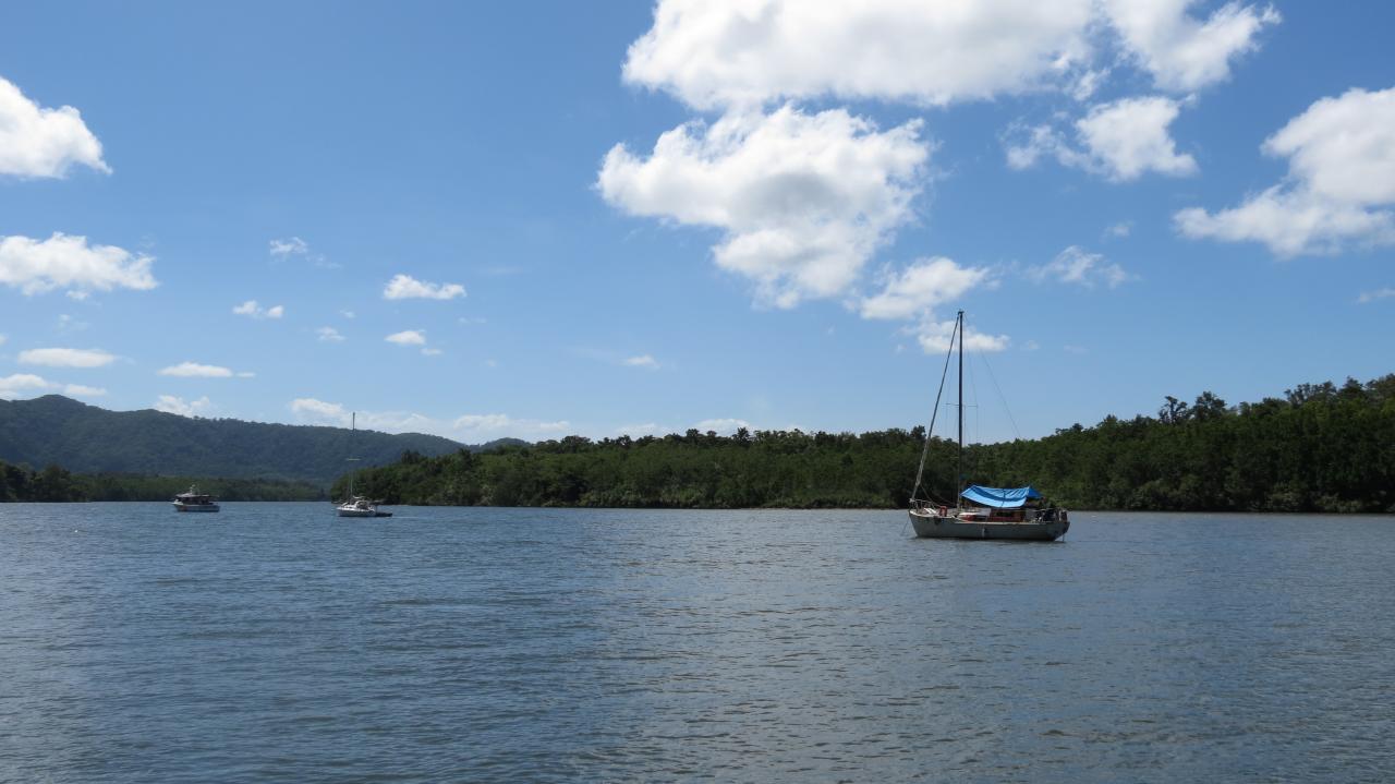 Daintree National Park