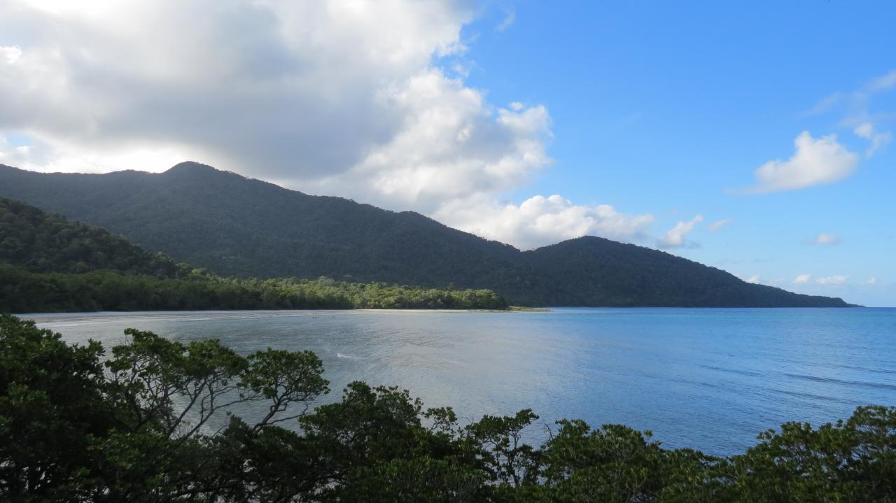 Daintree National Park 