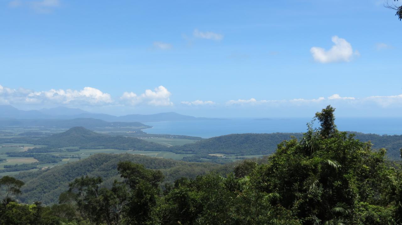 Daintree National Park