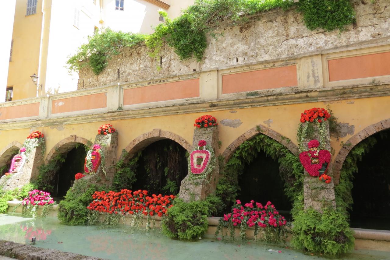 GRASSE 