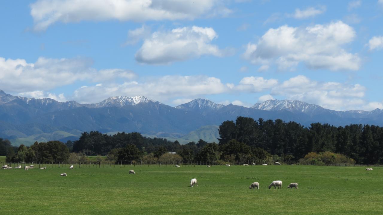 Hawke's bay 