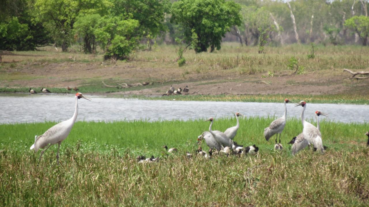 Kakadu National Park  