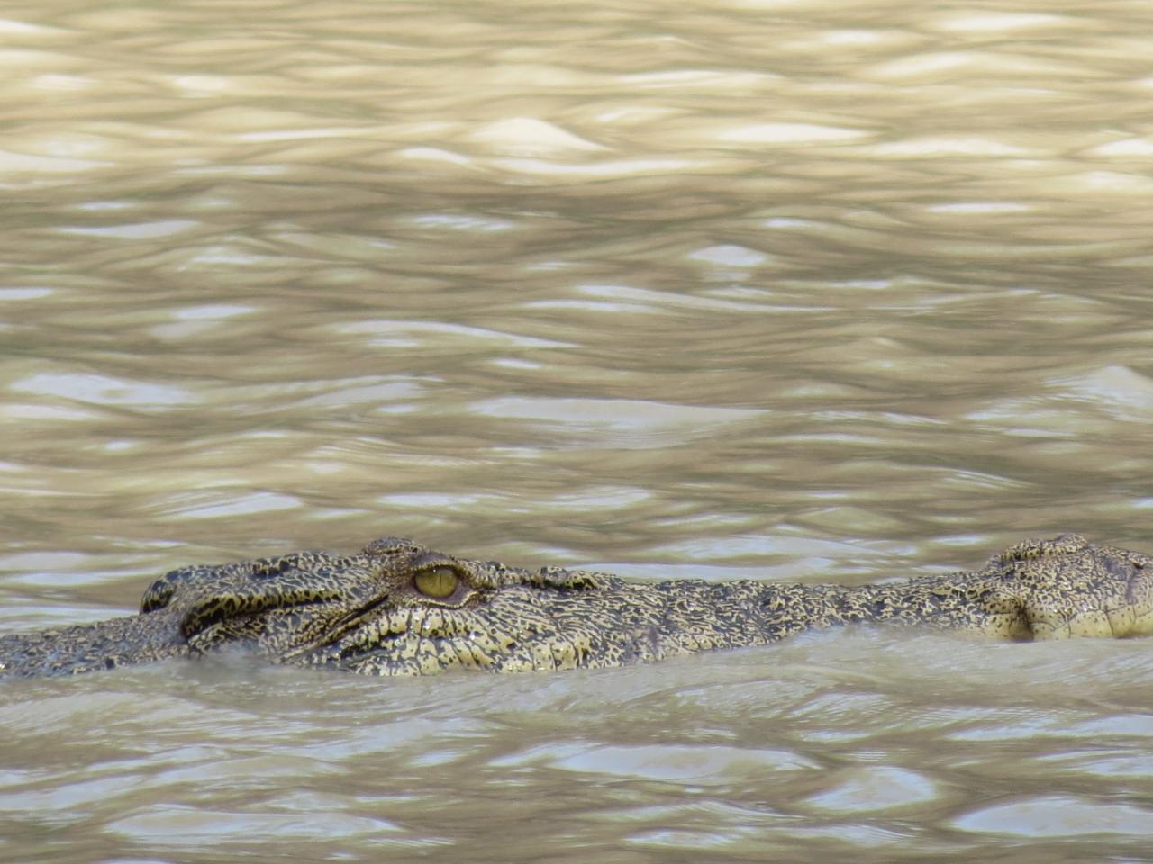 Kakadu National Park East Alligator River 