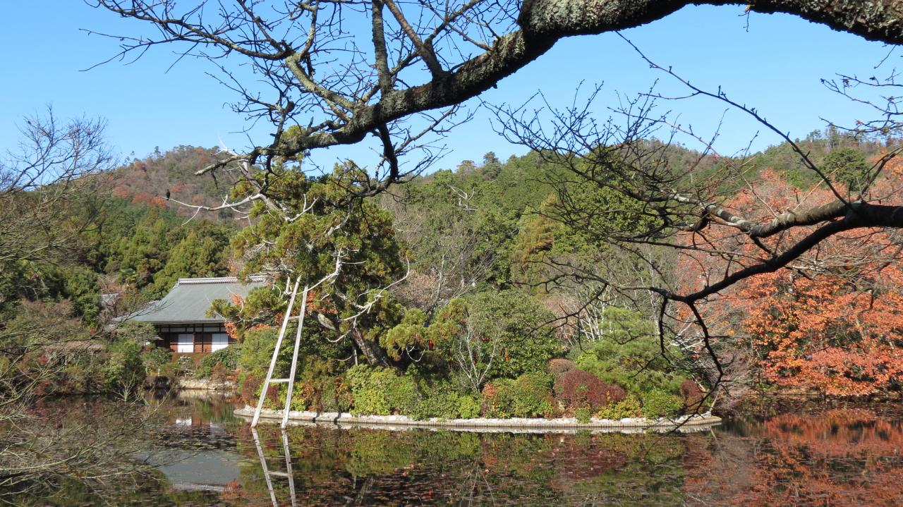 Kyoto Ryoanji Temple (30)