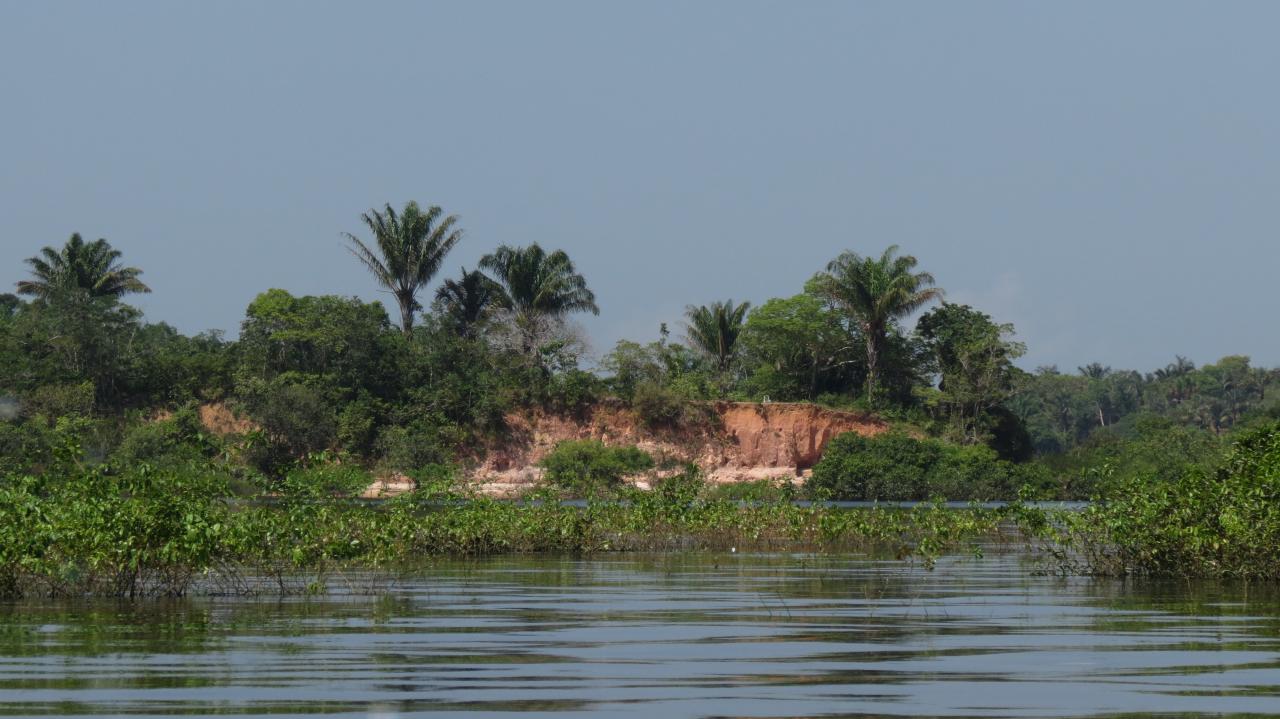 Manaus croisiere sur le rio Negro  