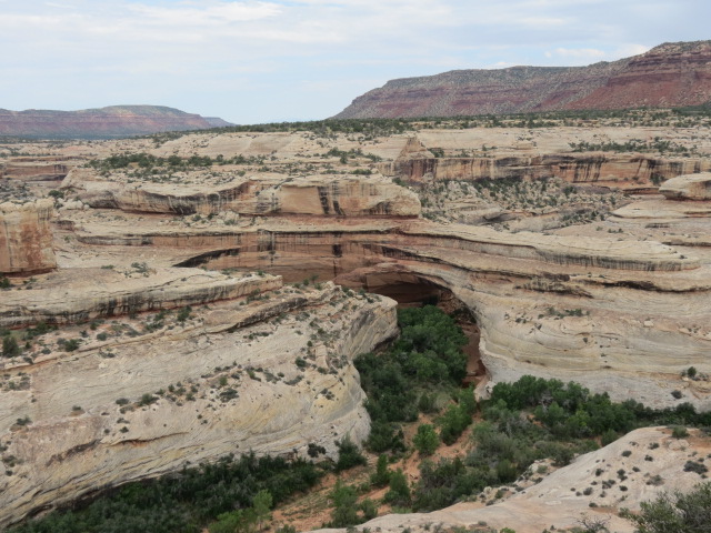 Natural Bridges National Monument