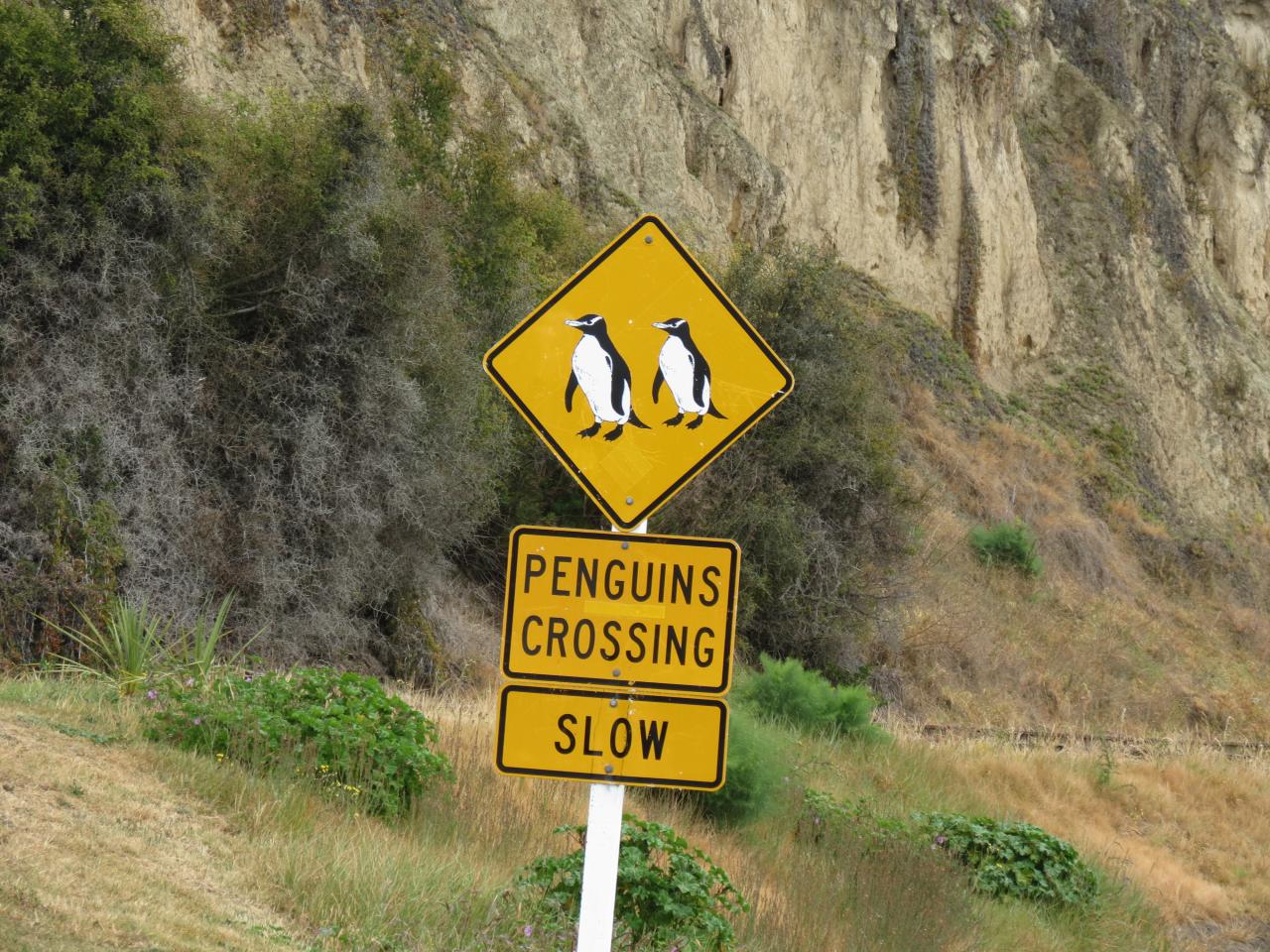 Oamaru 