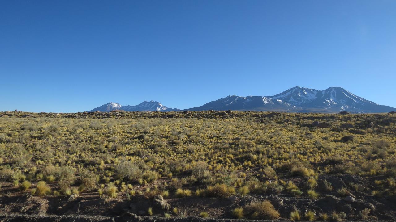 San Pedro de Atacama  