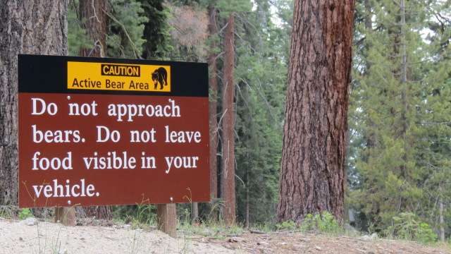 Sequoia NP