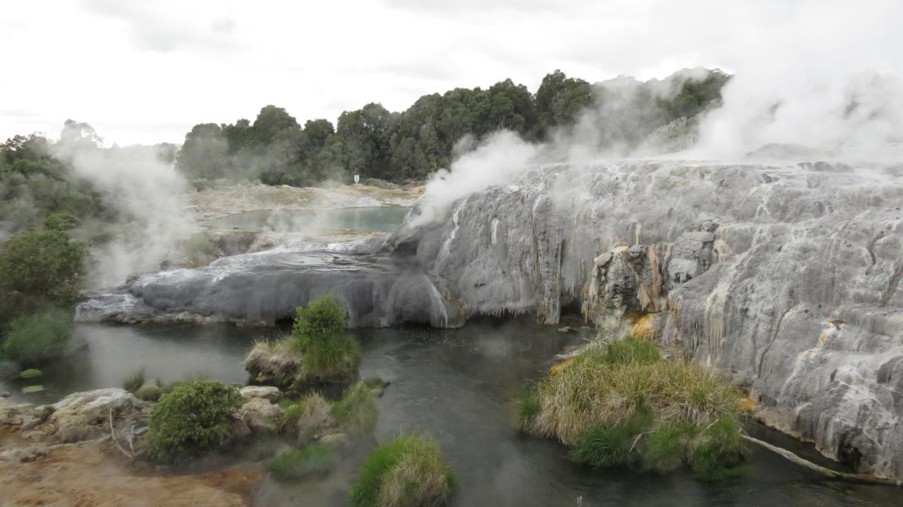 Te Puia National Park 