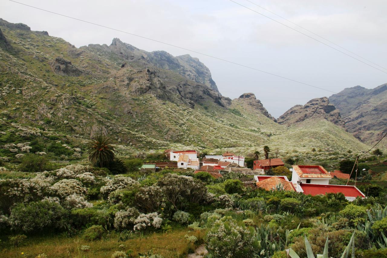 Ténérife (223)