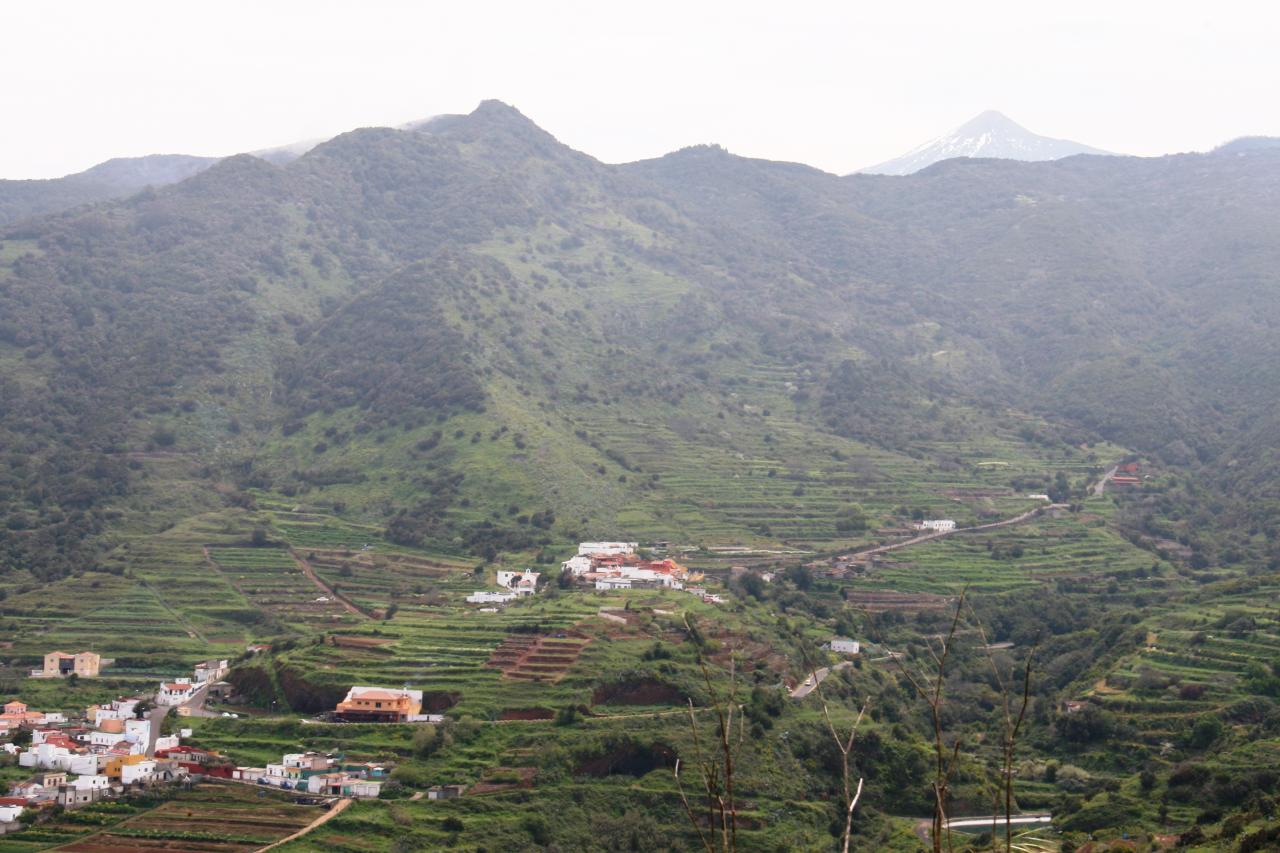 Ténérife (230)