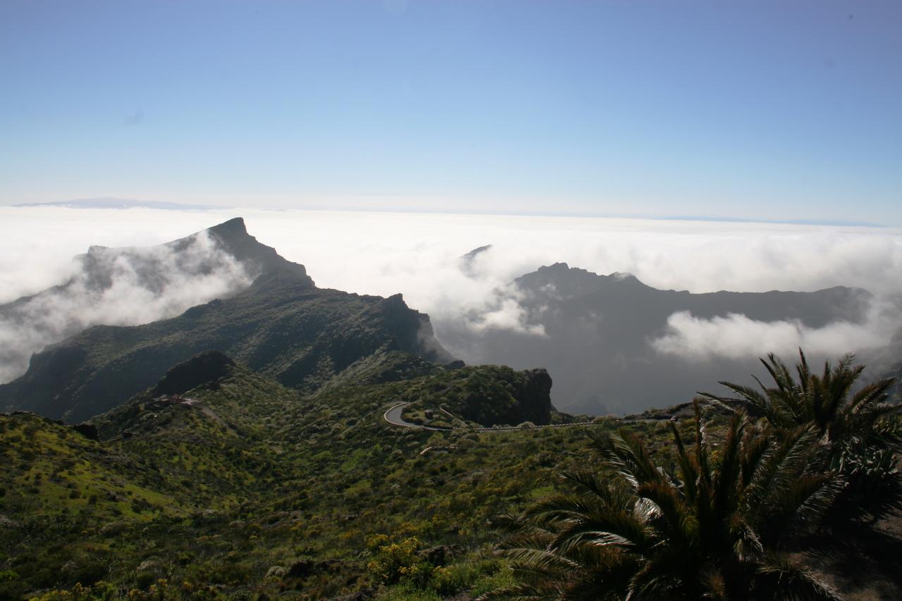 Ténérife (82)