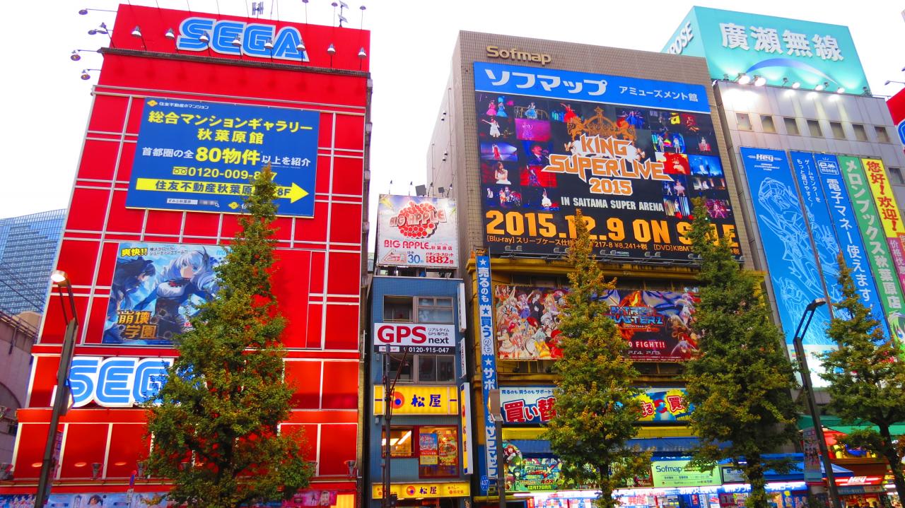 Tokyo Akihabara Electronic Town (7)