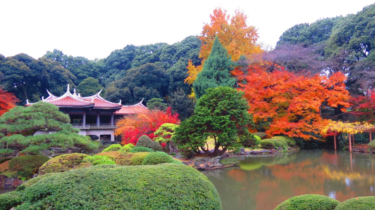 tokyo Jardin National Shinjuku Gyoen (43)