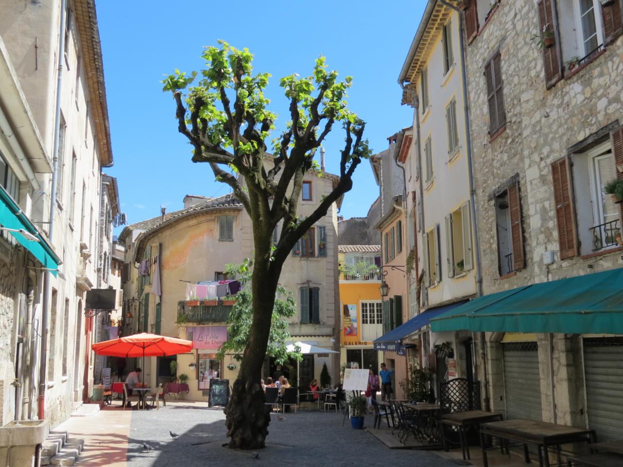 VENCE 